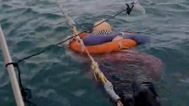 صورة العثور على سيدة حية وسط البحر بعد عامين من اختفائها!