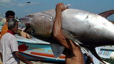 صورة موريتانيا : جناح حزب معارض يدعوا الي المبادرة العاجلة  لإنقاذ الثروة “تفاصيل”