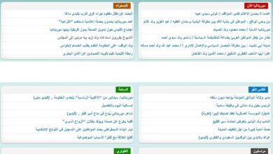 صورة إعتقال مدير موقع إلكتروني موريتاني “تفاصيل”