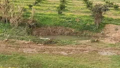 صورة وفاة ثلاثة إخوة غرقا في بركة مائية”تفاصيل”