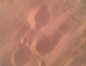 صورة واد الناكه : إختفاء فتاة من أمام مدرستها طهيرة اليوم “تفاصيل”