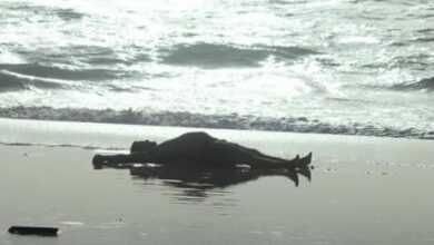 صورة نواكشوط : أمواج البحر تقذف جثة ولد موسي الي الشاطئ “تفاصيل”
