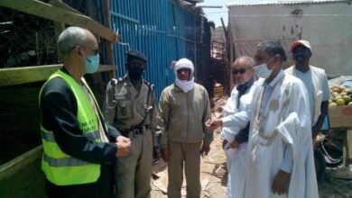 صورة الشرطة تقبض على عصابة تقوم برشح فاكهة «المانجو» بغاز سام لتسريع نضجه (صور)