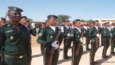 صورة عاجل : قطاع أمن الطرق الجنوبي يحبط محاولة تهريب أجانب “تفاصيل”