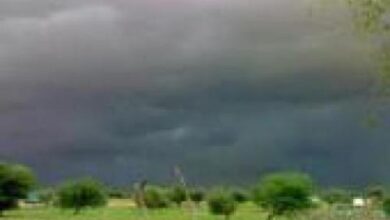 صورة موريتانيا : دعوات لإقامة صلاة الاستسقاء “تفاصيل”