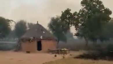 صورة حرائق متواصلة في المراعي في منطقة العطف بولاية كوركول (صور)