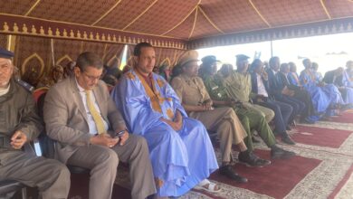 صورة مفتشية التهذيب الوطنى بتوجنين تنظم يومها التربوي