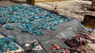 صورة توجنين : راف شميكال توزع لحوم الاضاحى علي السكان