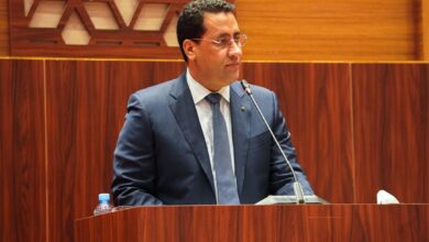 صورة الوزير الاول : مأمورية الرئيس الإفريقية“ موفقة” عناوينها الحكمة، ووضوح الرؤيةوجعل الصوت الإفريقي ثابتا ومسموعا