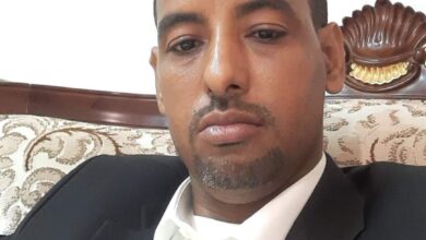 صورة إنصاف “العاطلين عن الأمل”/محمد محفوظ  المختار