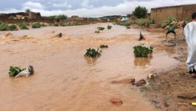 صورة أمطار جديدة على مناطق متفرقة من البلاد