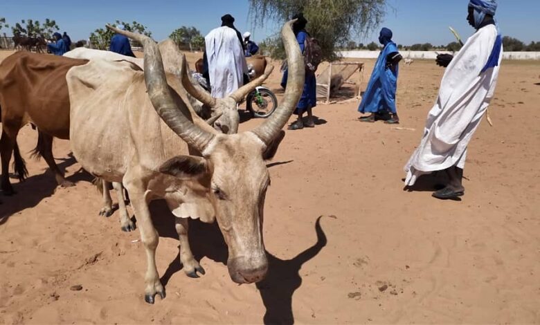 صورة إنجازات ملموسة للمشروع الجهوي لدعم النظام الرعوي في الساحل PRAPES-2.