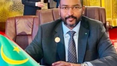 صورة عبد العزيز محمدو يقدم أوراقه سفيراً لموريتانيا في غينيا بيساو