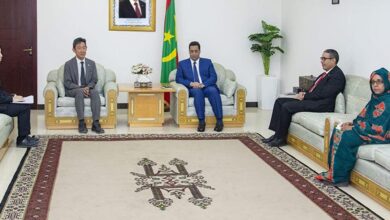 صورة الوزير الأول يبحث مع السفير الياباني سبل تعزيز علاقات التعاون المشترك