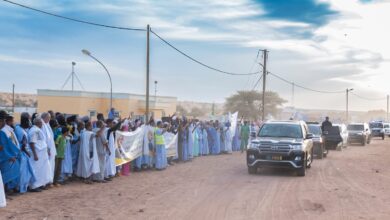 صورة رئيس الجمهورية يصل مدينة ولاتة في إطار زيارته للحوض الشرقي