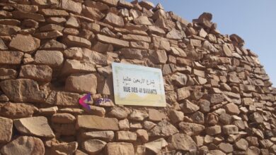 صورة زيارة وزارية لفضاء التحول الرقمي في وادان .. ولد أبنو يبرز ملامح الدعم التقني وتوسيع استفادة المواطنين