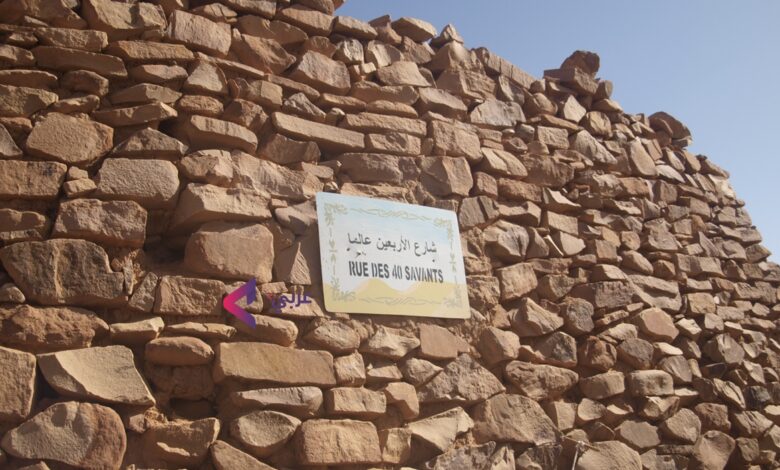 صورة زيارة وزارية لفضاء التحول الرقمي في وادان .. ولد أبنو يبرز ملامح الدعم التقني وتوسيع استفادة المواطنين