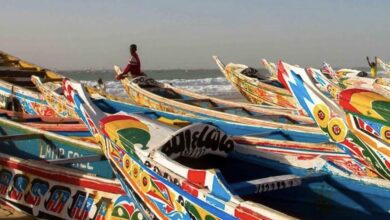 صورة وزارة الشباب تفتح التسجيل لـ 1000 فرصة عمل في الصيد التقليدي