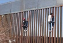 صورة اعتقاله أثار ضجة.. أمر بالإفراج عن طفل احتجزته إدارة الهجرة