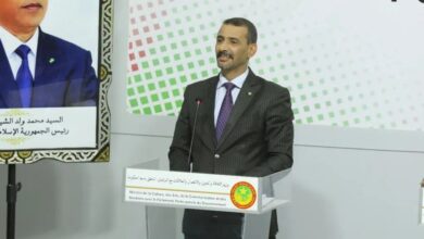 صورة الحكومة: تنظيم سوق الهواتف  يهدف الى وقف الفوضى الضريبية وزيادة عائدات الدولة