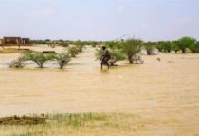 صورة طقس مستقر نسبياً وأمطار خفيفة مرتقبة في بعض المناطق