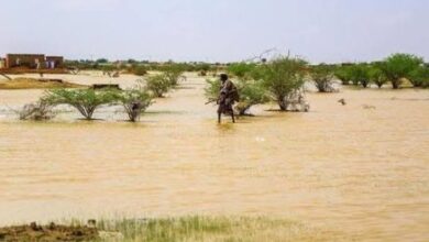 صورة طقس مستقر نسبياً وأمطار خفيفة مرتقبة في بعض المناطق