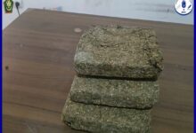 صورة الدرك يحبط محاولة تهريب مخدرات ويوقف المتورطين