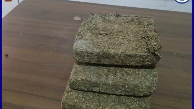 صورة الدرك يحبط محاولة تهريب مخدرات ويوقف المتورطين