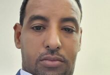 صورة الحوار .. لا حصاد قبل نثر البذور