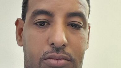 صورة الحوار .. لا حصاد قبل نثر البذور